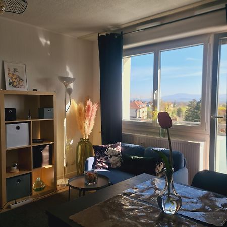 Studio Kaan Avec Terasse 5Mn Basel Airport Saint-Louis  Exteriér fotografie