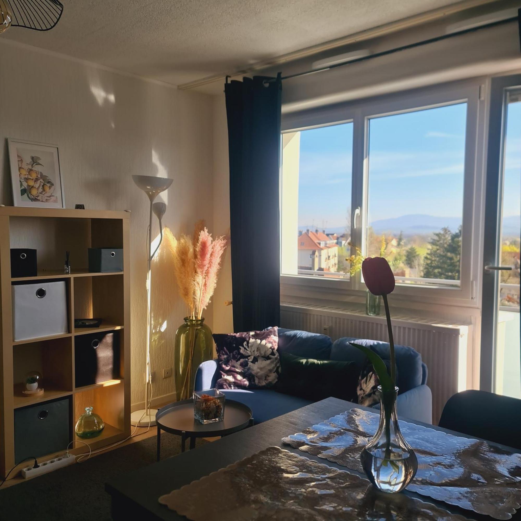 Studio Kaan Avec Terasse 5Mn Basel Airport Saint-Louis  Exteriér fotografie